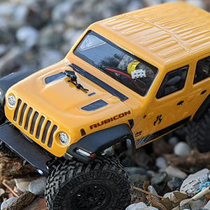 Collectibles & Hobby